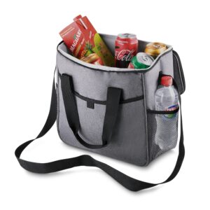 BOLSA TERMICA NYLON E POLIESTER