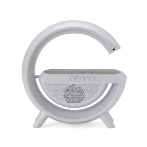 CAIXA DE SOM COM CARREGADOR INDUÇÃO