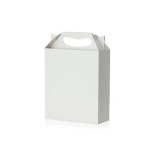 EMBALAGEM CAIXA TIPO SACOLA