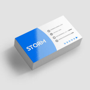 Cartão de Visita Couchê 250g 91x51mm 4×0 250 unidades – Linha 2026