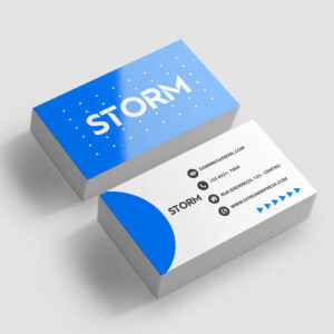 Cartão de Visita Couchê 250g 91x51mm 4×4 1000 unidades – Linha 2026