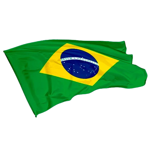 Bandeira Tradicional Brasil Diversos Tam. Copa 2026